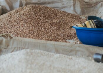 Tragic Stampedes Over Bags of Rice Mar Nigeria’s Yuletide Season