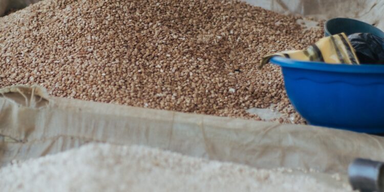 Tragic Stampedes Over Bags of Rice Mar Nigeria’s Yuletide Season