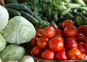 A Nation of Hungry People: When Food Becomes Deadly in Nigeria