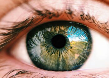 Diagnosis and Treatment of Macular Degeneration 