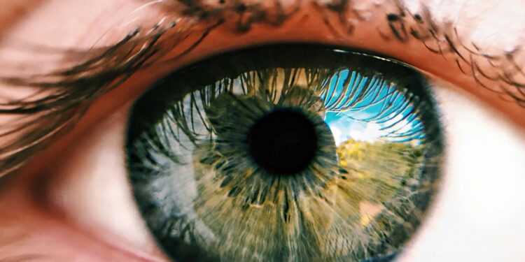 Diagnosis and Treatment of Macular Degeneration