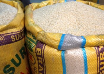 Another Tragic Stampede in Abuja: Is Tinubu to Blame?