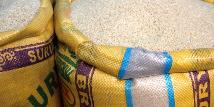 Another Tragic Stampede in Abuja: Is Tinubu to Blame?