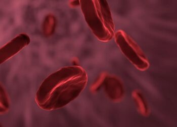 Haemophilia: Type, Causes, Symptoms, and Complication