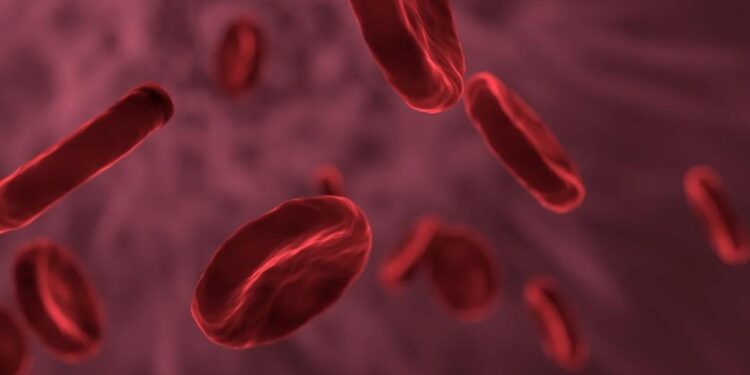 Haemophilia: Type, Causes, Symptoms, and Complication