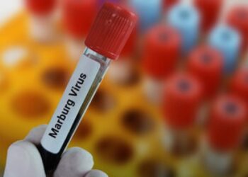 Marburg Virus Outbreak