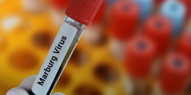 Marburg Virus Outbreak