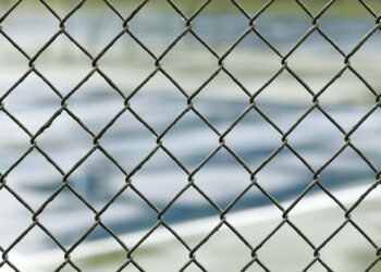 Trump’s Immigration Raids to Begin on Day One, US Reports Say