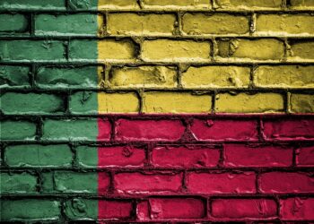 Benin’s Military Blunder: 30 Soldiers Dead, Was Leadership Asleep?