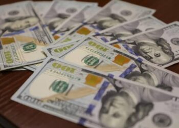 Nigeria’s FX Reserves Rise by $591.78 Million Following Eurobond Auction