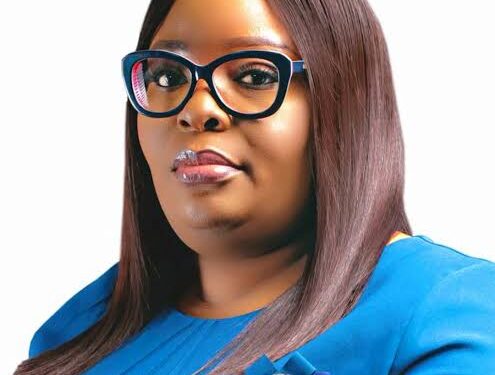 Mojisola Meranda Becomes Lagos’ First Female Speaker
