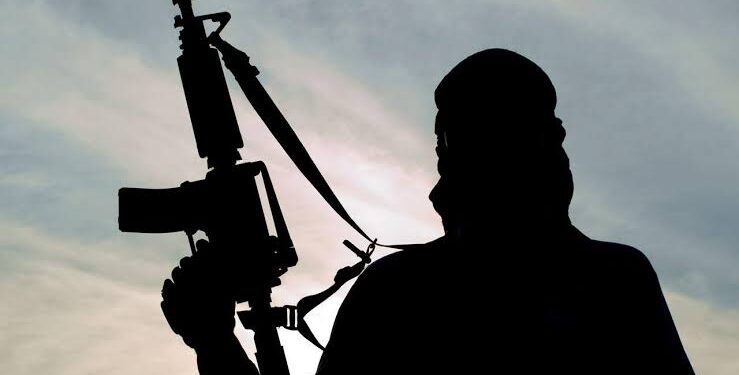 Nigerian Police Rescue Wife of Former AIG, Arrest Kidnappers in Ogun State