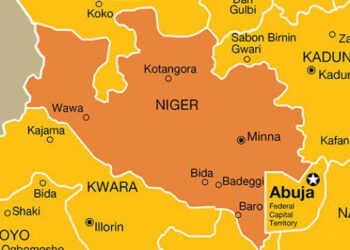 Mystery Illness Hospitalize Dozens in Niger State