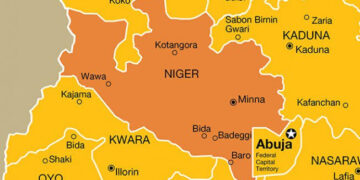 Mystery Illness Hospitalize Dozens in Niger State