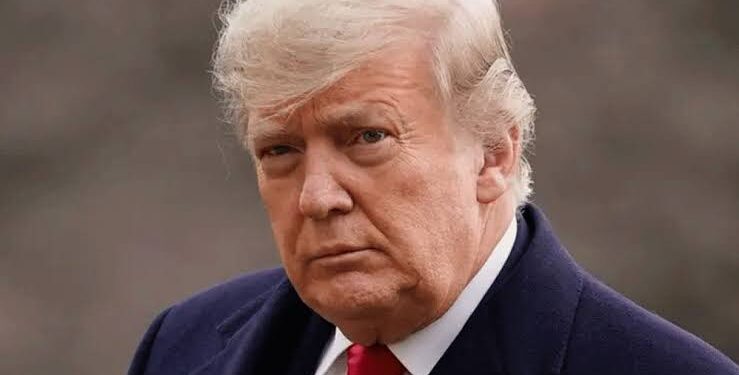 Mass Deportation Begin Days Into Trump's Presidency