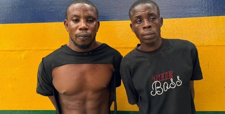Police Arrest Two Suspects in Ex-AIG’s Wife’s Abduction
