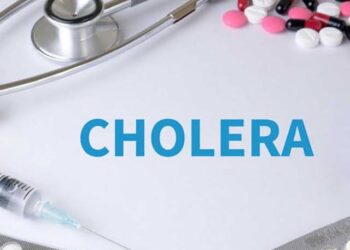 Cholera Hits Delta State: Government Responds to Outbreak