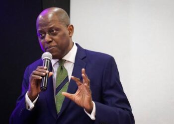 How CBN Tamed Inflation in 2024- Cardoso