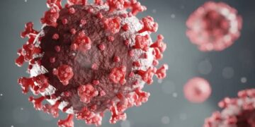 Nigeria Not Under Serious Threat from Human Metapneumovirus (HMPV), Says NCDC