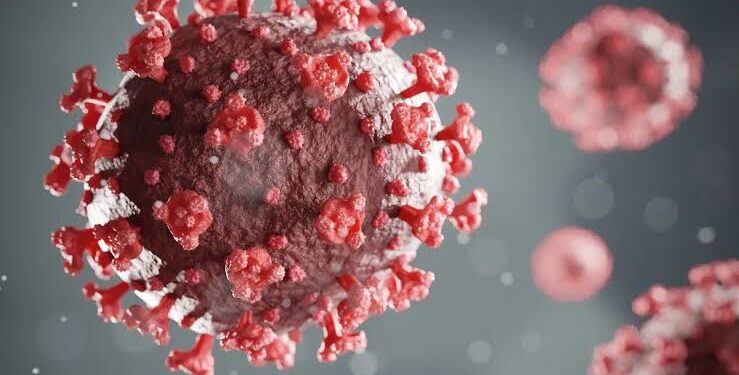 Nigeria Not Under Serious Threat from Human Metapneumovirus (HMPV), Says NCDC