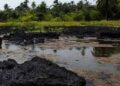 Closed-Door Meeting: Tinubu Administration Pushes for Oil Resumption in Ogoniland