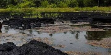 Closed-Door Meeting: Tinubu Administration Pushes for Oil Resumption in Ogoniland