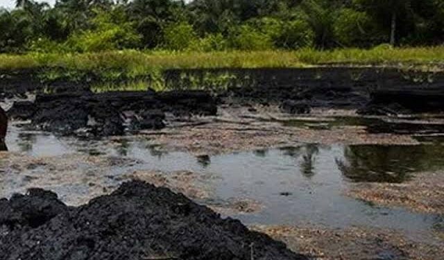Closed-Door Meeting: Tinubu Administration Pushes for Oil Resumption in Ogoniland