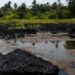 Closed-Door Meeting: Tinubu Administration Pushes for Oil Resumption in Ogoniland
