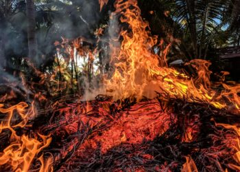 Mother of Eaton Fire Victim Files Wrongful Death Lawsuit Against Southern California Edison