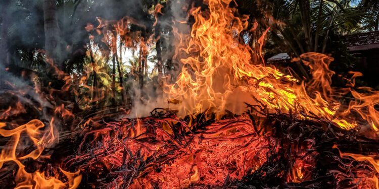 Mother of Eaton Fire Victim Files Wrongful Death Lawsuit Against Southern California Edison