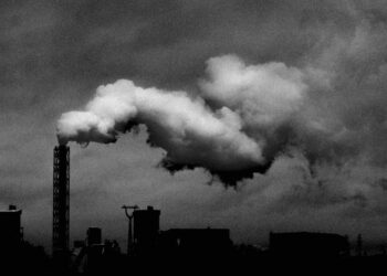 Smog Crisis: Severe Air Pollution Disrupts Travel Across Delhi