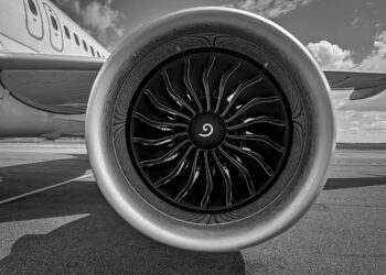 Jeju Airplane Crash: Duck DNA Found in Engines, Investigation Report Reveals