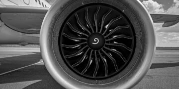 Jeju Airplane Crash: Duck DNA Found in Engines, Investigation Report Reveals