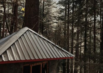 Greedy Landlords Exploit Wildfire Victims in Los Angeles Housing Crisis