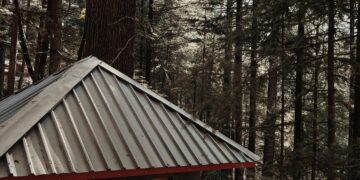 Greedy Landlords Exploit Wildfire Victims in Los Angeles Housing Crisis