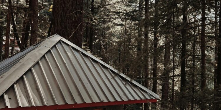 Greedy Landlords Exploit Wildfire Victims in Los Angeles Housing Crisis