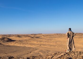 Arab Leaders Hold Urgent Talks on Israeli-Palestinian Conflict