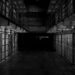 Five ISIS Prisoners Killed in Tajikistan Jail Break Attempt