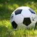 FA Cup: Plymouth Shock Liverpool in Monumental Upset