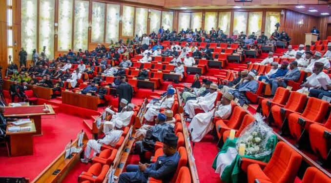 Senate Plenary Disrupted over Seating Arrangement