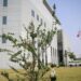U.S. Embassies in Nigeria to Close for Presidents’ Day