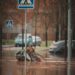 US Floods and Heavy Rain Leave at Least 10 Dead