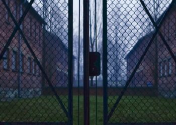 Australian Government Implements Mandatory Jail Time for Nazi Salutes