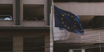 EU Takes Legal Action Against France Over Bird Hunting Using Nets