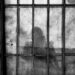 Five ISIS Prisoners Killed in Tajikistan Jail Break Attempt