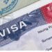 US Halts All Immigrant Visa Applications in Trump Crackdown
