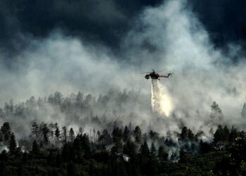 South Korea Declares Emergency as Wildfires Claim 28 Lives