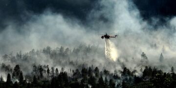 South Korea Declares Emergency as Wildfires Claim 28 Lives