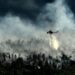 South Korea Declares Emergency as Wildfires Claim 28 Lives