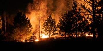 Wildfires Ravage South Korea’s Southeast, Killing Four and Forcing Thousands to Evacuate